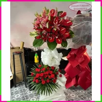Khai Trương Hồng Vận Đỉnh Vọng Huy Hoàng 2IMMFCU4EG
