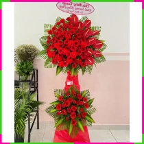 Hồng Vận Khai Trương Đại Cát Hoa Kỳ 1IR9Y7ODPE