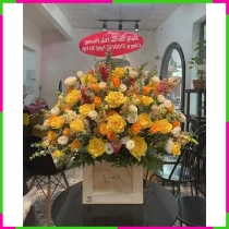 Hồng Phát Cát Tường Lãng LBZP3AQOXX