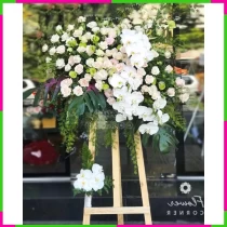 Khởi Nguyên Thành Công Rạng Rỡ Niềm Vui. W21WB1RU27