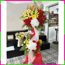 Tươi Hồng Vạn Dịp Khai Hoa Chúc Phúc ILZL7SW59