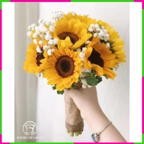 Hướng Dương Ấm Áp Hỷ Lâm Môn DDVUCLXNN