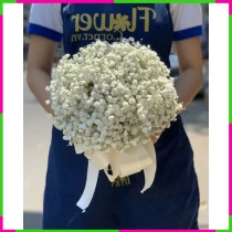 Bạch Vân Thanh Khiết Hôn Lễ Hoa JMWLJOW1ZV