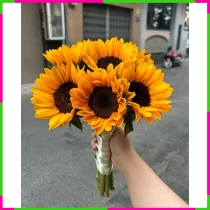Hướng Dương Trường Phu Viên Mãn Tình Hoa Lưu Luyến RJKGGJ7P2