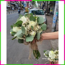 Bạch Liễu Thánh Tuyết Kết Hợp L3IYUGZKH