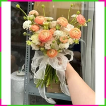 Kim Liên Phấn Thanh Hồng Đỉnh PWBXPP0D8G