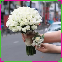 Bạch Nga Tịnh Uyên Ương Thiên Đường ZTW9VFF8OY