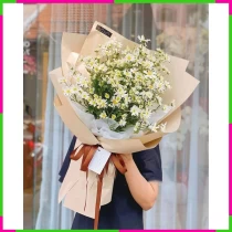 Họa Mi Đông Hà Thanh Tú** J5K9G5A4M