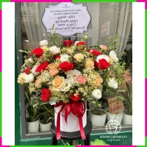 Ánh Dương Hoa Khai Kiều Sắc Lộ Ngọc Ngân QIU43WOEOS