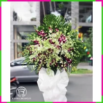 Nguyện Cầu Lan Tím Bạch Liên ODF9D00F17