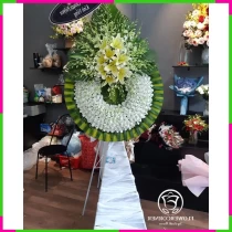 Nhớ Thương Vô Ngạn Hương Sắc Kệ Hoa VEPU343WHD