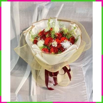 Hồng Tình Sơ Nguyệt THZ0BG309V