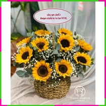 Hướng Dương Nguyệt Bạch FSGZNTH77C