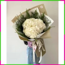 Bạch Ngọc Tuyết Hương** 3QWC9RIZ1D
