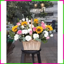 Hướng Dương Nguyệt Bạch Hồng Đan S84RL4CA7Q