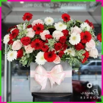 Khai Trương Hồng Diễm Rạng Ngời W05W27AVKF