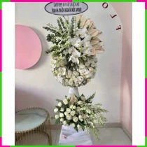 An Tâm Trắng Khiên Đưa Tiễn Niềm Thương WYID4E74VU