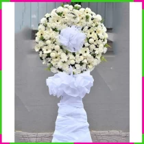 Kệ Hoa Kính Viếng Nhớ Thương Dĩ Vãng Trắng 6OMWW3QRYY