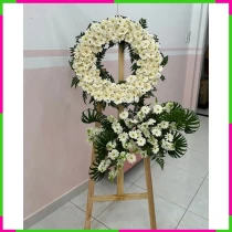 Bạch Liên Uyển Lệ JQFNRHSYA5