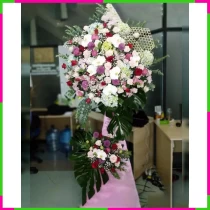 Đại Hoa Nghệ Thuật Thành Công Vinh Quang XWHE0T7XRD