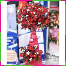 Hồng Ngân Phát Tài Hoa Chúc Mừng Khai Trương M96TQGW6K3