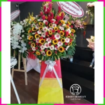 Tinh Hoa Khai Mãn Hồng Sắc Dịu Dạt O4U3QWRFJY