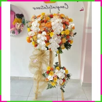 Hoàng Vũ Khai Trương Tấn Phát Cúc Đẹp Tỏa Hoa SI1PKXYGHT