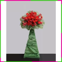 Hồng Tường Vũ Khánh Thụy Tinh Hoa Phú PNF0OH8CV