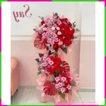 Hồng Phai Lạc Thần Duyên** VCHWJ47JT9