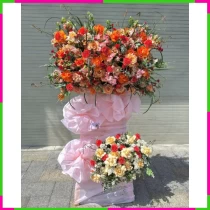 Khai Trương Vạn Phát Hoa Nghê Thường Cát Tường. GJMZU5901