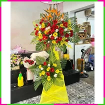 Hỷ Khánh Thịnh Vượng Hoa Kỳ Trình Tường PEZ5DE2IE0
