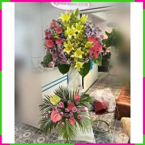 Hoa Khai Trương Hỷ Lộc Tường Anh 559ERNG1SU