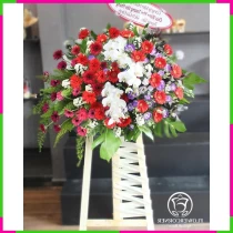Hồng Danh Thắng Lộc - Hoa Khai Trương Vạn Phúc E92MICL3AG