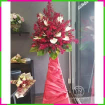 Hồng Lan Bạch Môn Thịnh Vận** APZ1K686VY