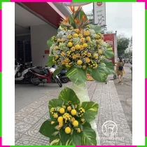 Hoàng Kim Khởi Nguyệt J9G8OZI9CP