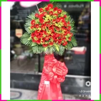 Hồng Vận Thịnh Hoa** YRQE035SQJ