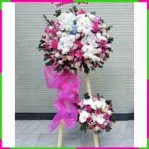 Hồng Nhiệt Bạch Liên Khiết** GI2MCKW7EF