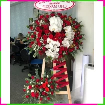 Hồng Phát Hỷ Lộc** F6XUULDZYD