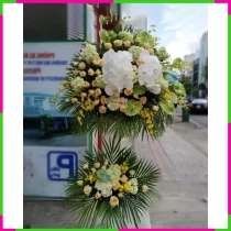 Khai Trương Vũ Lan Hồ Điệp Thành Công 1MGIOXIJC