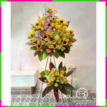 Khai Trương Vàng Son Phú Quý Hồ Điệp Hồng Phát WH8NI1TAIG