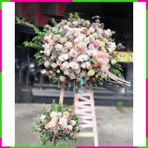 Vinh Hoa Khai Trương Hồng Tường TXBWH6JJA1