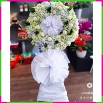 Thanh Bạch Vĩnh Biệt Hoa QYEVEIXW9H