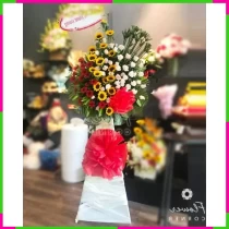 Khải Hoàn Ca Hoa Chúc Mừng Khởi Sắc ZU09W2WBP