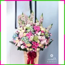 Hỷ Lạc Hoa Đình NFXWPWD4