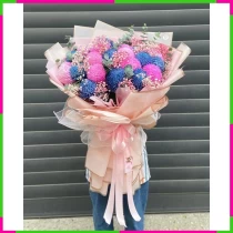 Khúc Ca Hương Sắc Duyên Dáng Mộng Mơ VGE83W3ZR