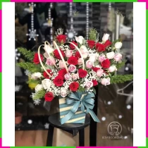 Ấm Áp Hồng Nhan IBAYHP6ZE