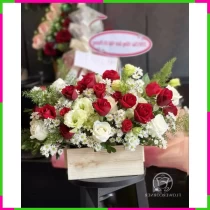 Hồng Ngọc Tường Lâm VST1HVZ2LK