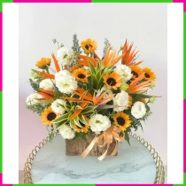 Bừng Sáng Hương Dương Khai Tường Lạc W69VFE1FFD