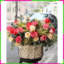Hồng Cúc Lộc Xuân Hỷ NDHCDZJWL