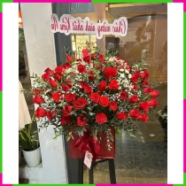 Hồng Bạch Hỷ Lạc JB6O1HDVWD